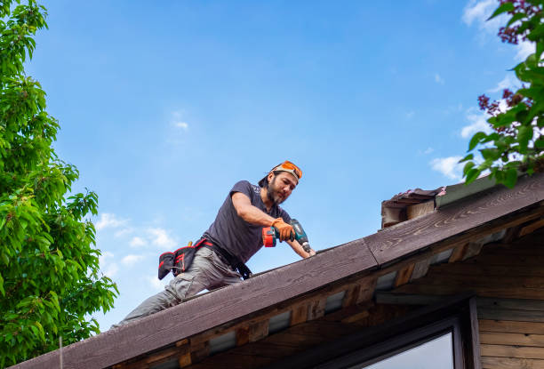 Best Skylight Installation and Repair  in Butler, PA